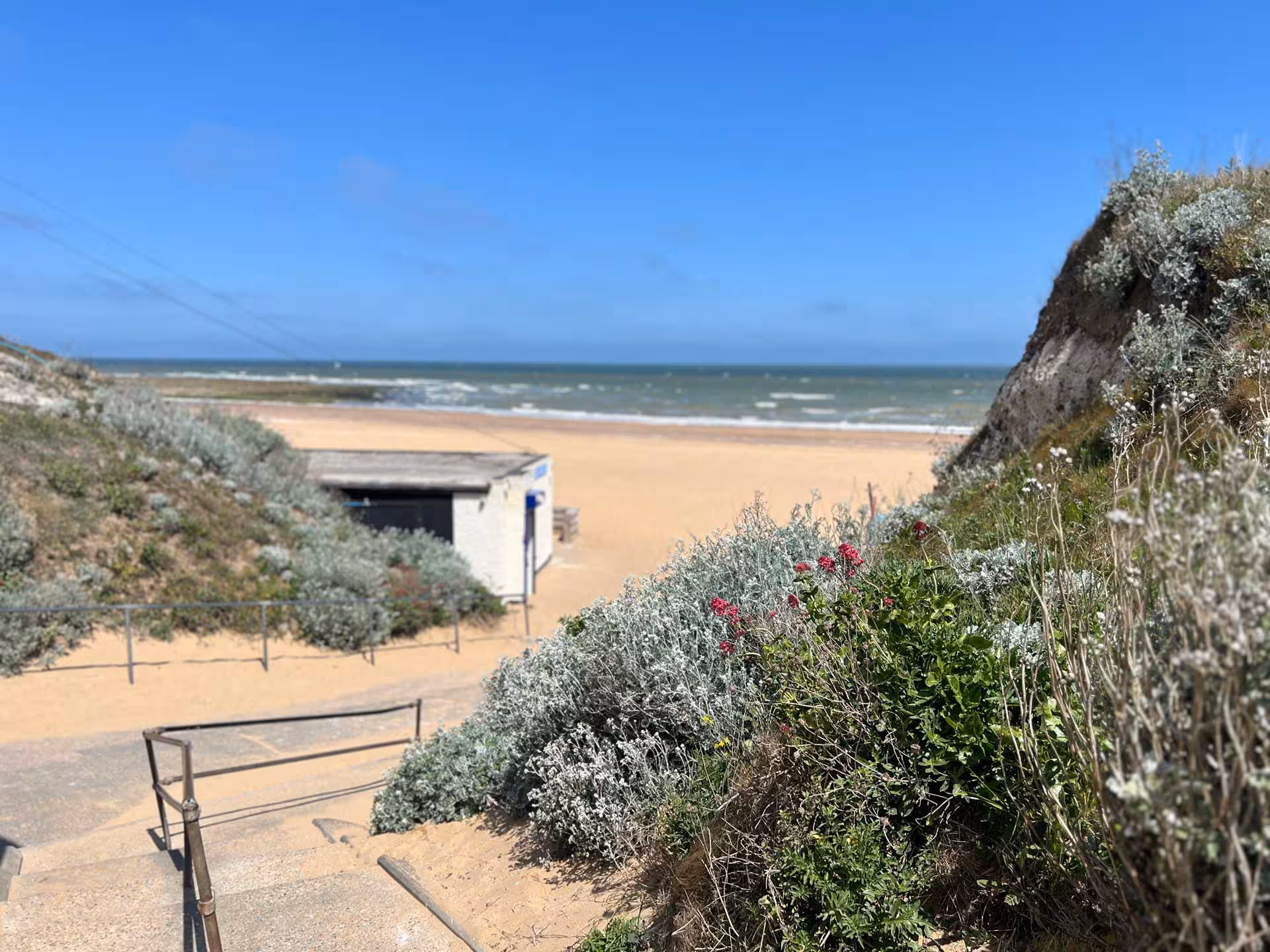 Stairway leading down to Joss Bay’s sandy beach, surrounded by coastal plants and wildflowers.
